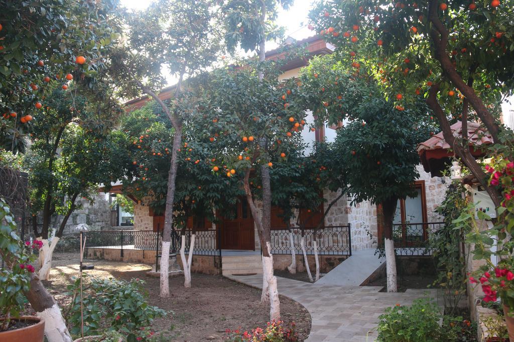 Citrus Garden Hotel Antalya Exterior photo