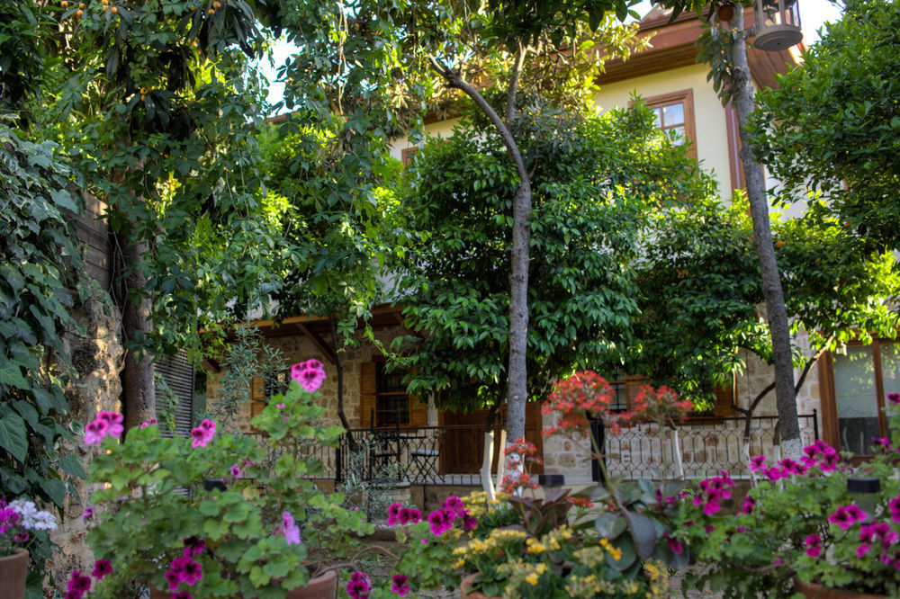Citrus Garden Hotel Antalya Exterior photo