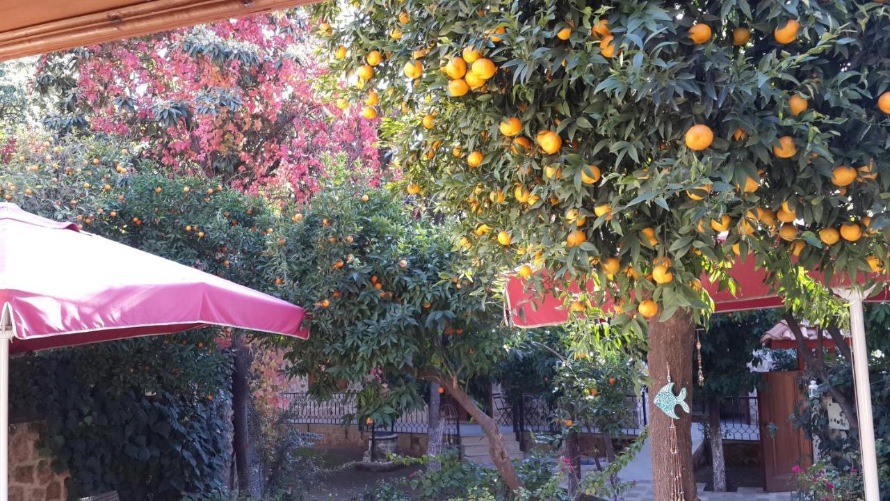 Citrus Garden Hotel Antalya Exterior photo