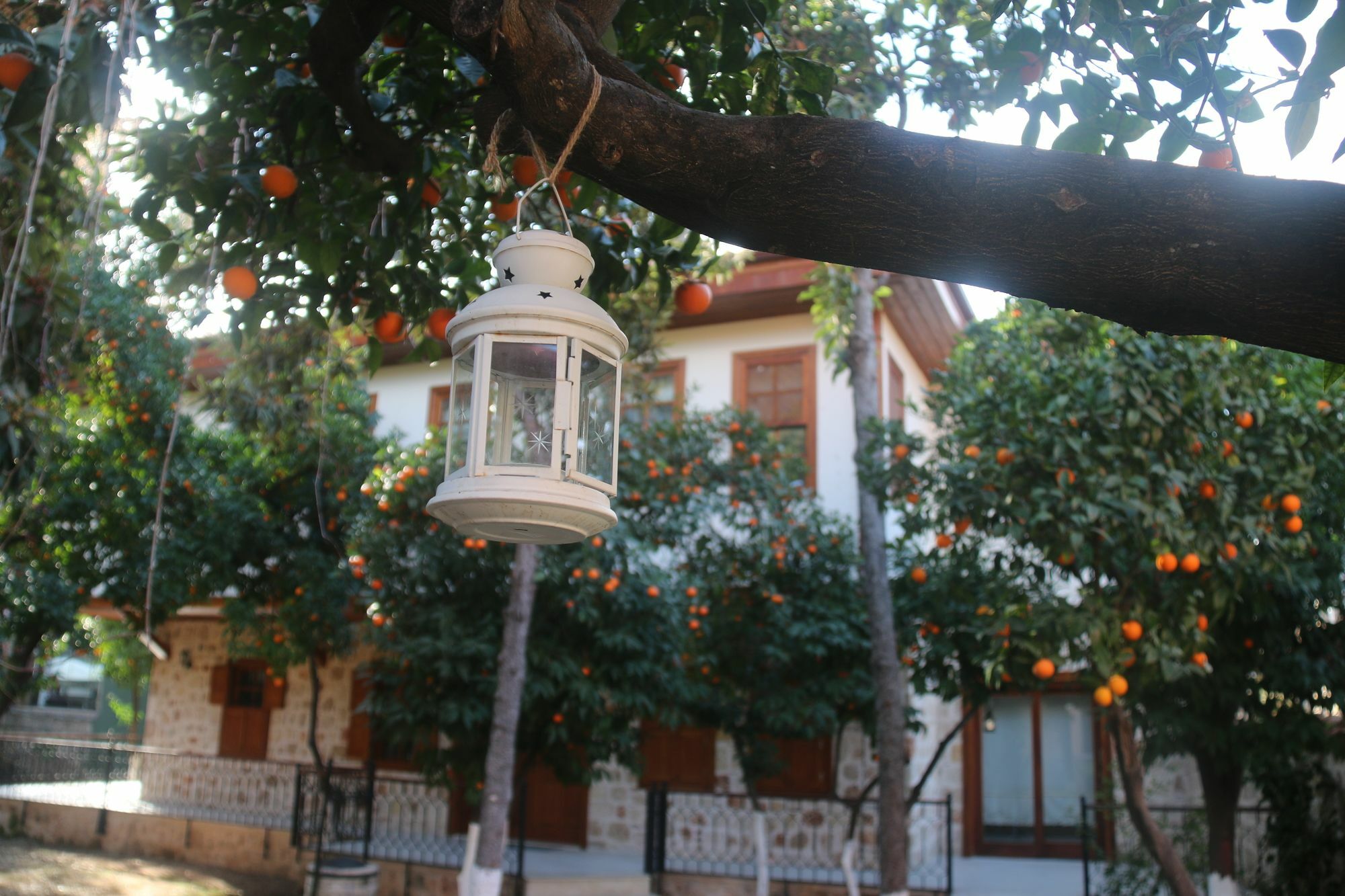 Citrus Garden Hotel Antalya Exterior photo